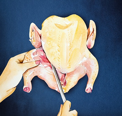 Image 1 of jointing a turkey