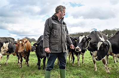 image of a dairy cow farmer, David Homer