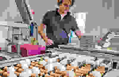 Image of packing eggs