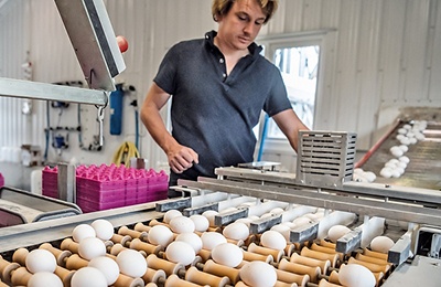 Image of packing eggs
