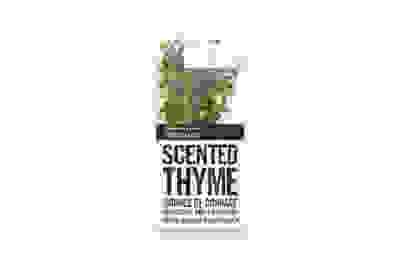 Thyme