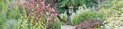 image of a garden