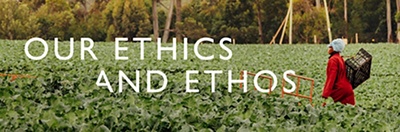 Our ethics and ethos
