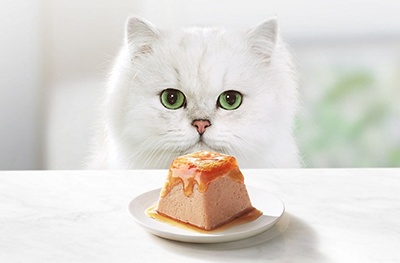 Purina Gourmet Cat