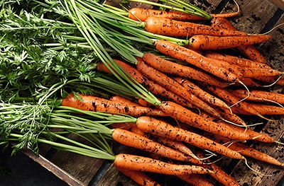 image of Duchy Organic carrots