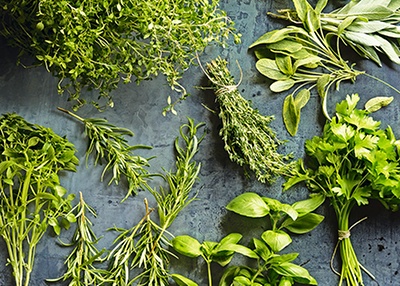 Start a kitchen herb garden