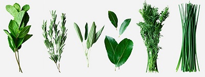 Image of garden herbs