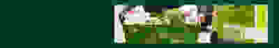 Hero Banner