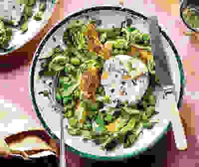 Minted bean & burrata salad