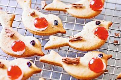 Mixed spiced Christmas robin biscuits recipe