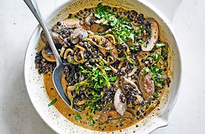 Mushroom & lentil stroganoff