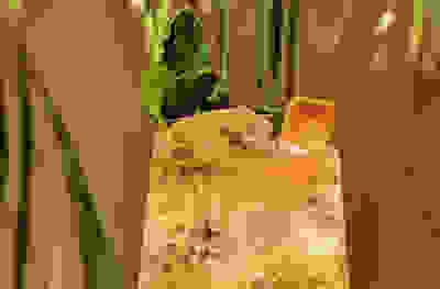 Orchard cooler