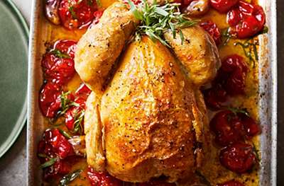 Roast chicken on a bed of tomatoes