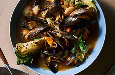 Roast cabbage with mussels & butter beans