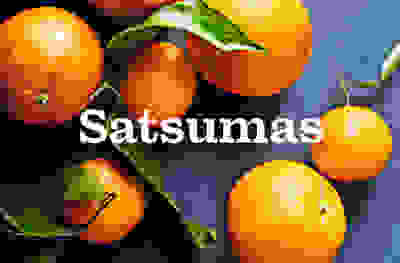 Satsumas